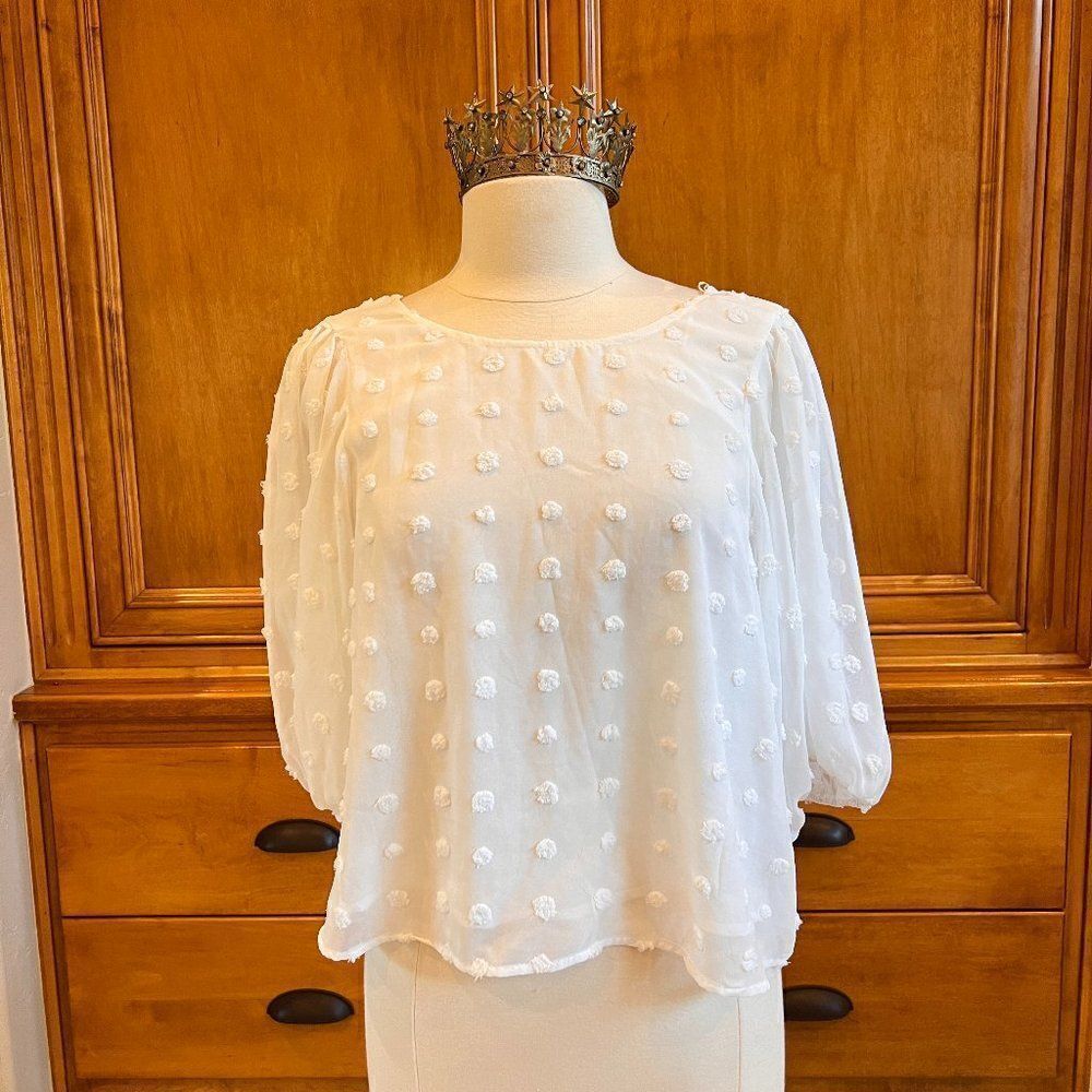 ASTR The Label White Bubble Sheer Cropped Blouse Size Medium NWT